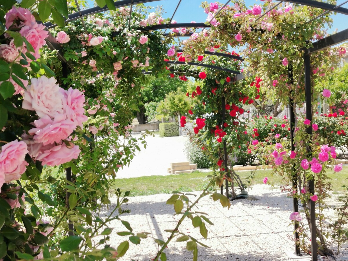 Gite in Provence -Rose * * *