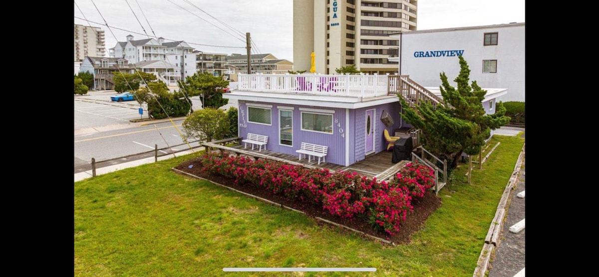 The Purple Pad -大洋城马里兰州海滩街区小屋