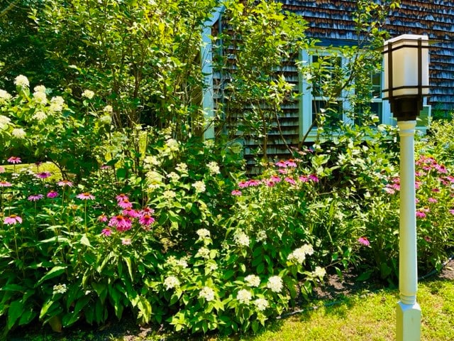 Maine Garden View