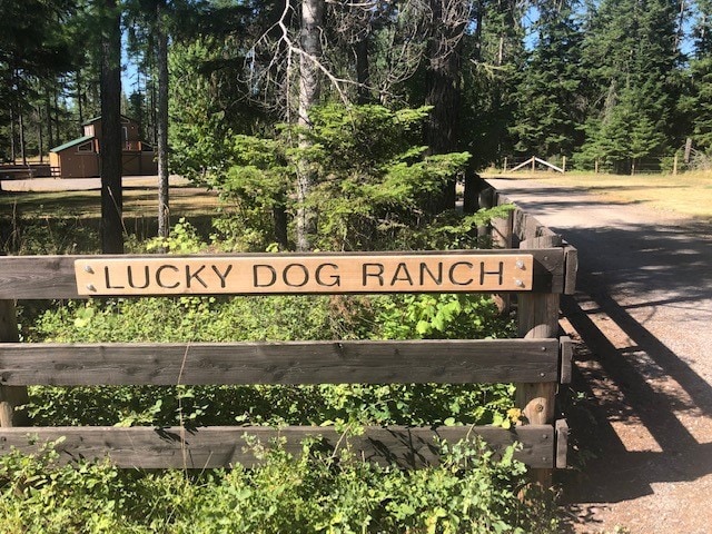 Lucky Dog Ranch