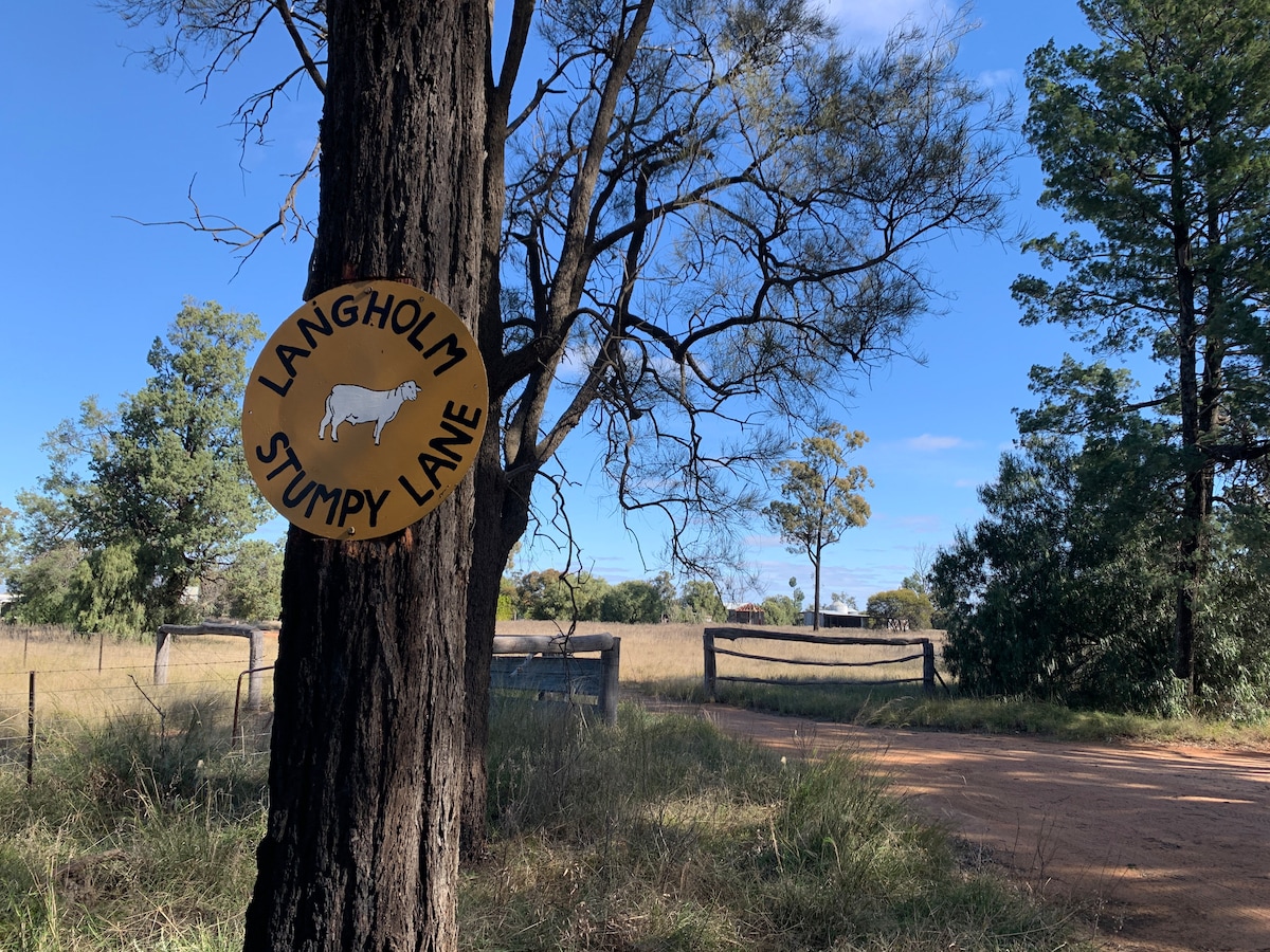 Langholm Homestead ，灌木丛中的宁静度假胜地。