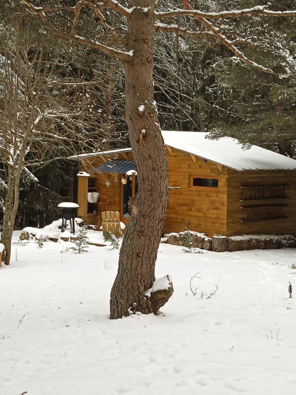 Chalet Libellule à Boussoulet