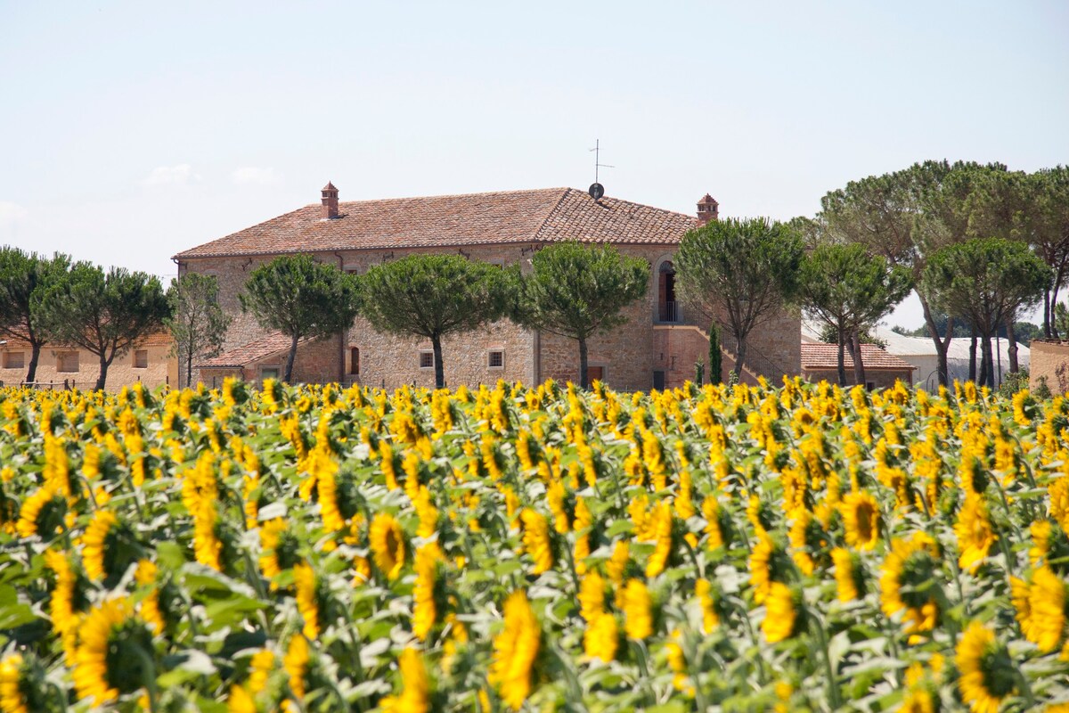 Farmhouse Tuscany | Modern family house with pool