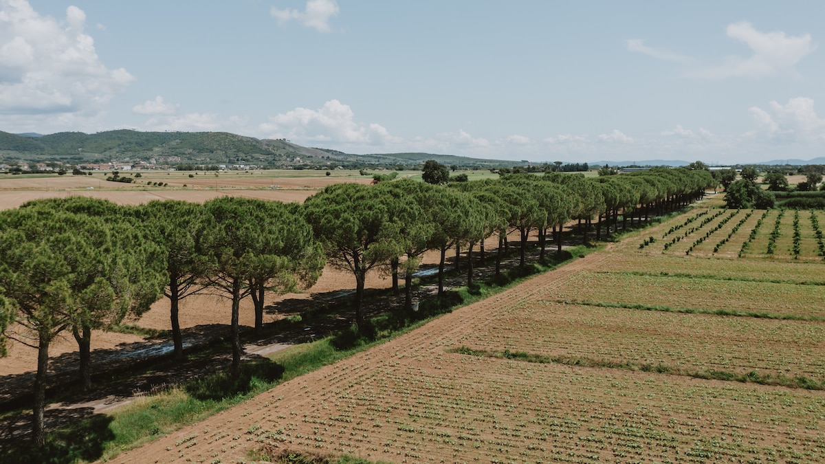 Farmhouse Tuscany | Modern family house with pool