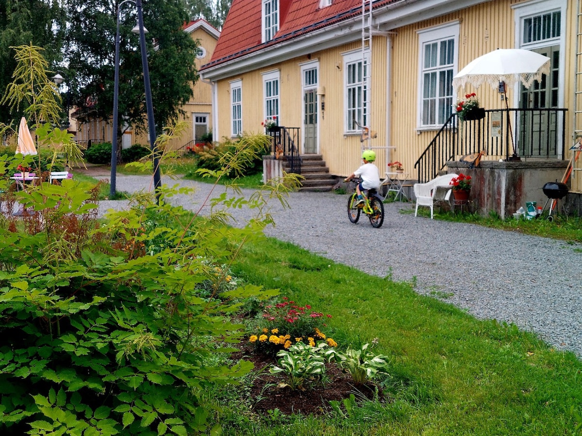 Nostalgic artists' residence Aurinko