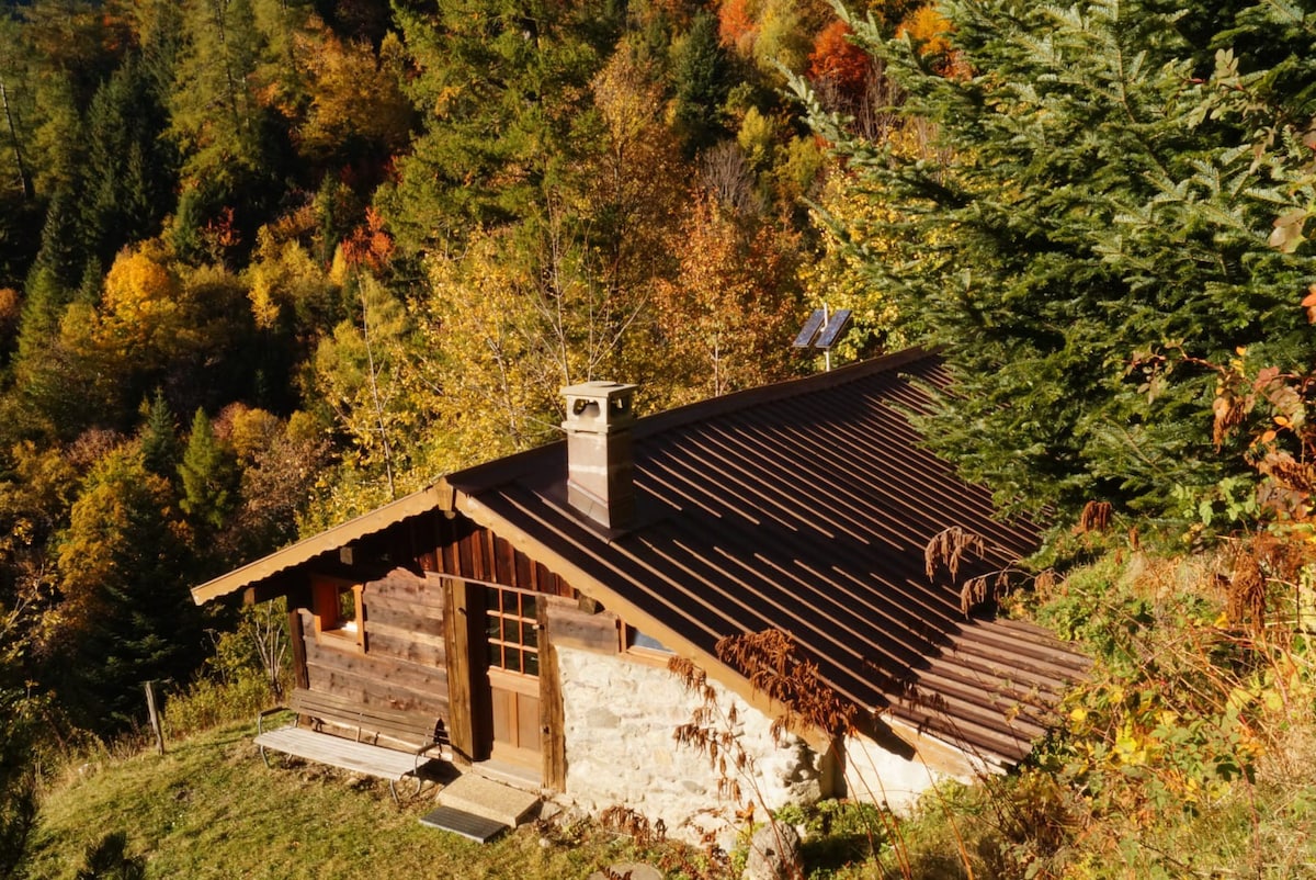 阿尔卑斯山度假木屋「La Cergnat」， Morcles