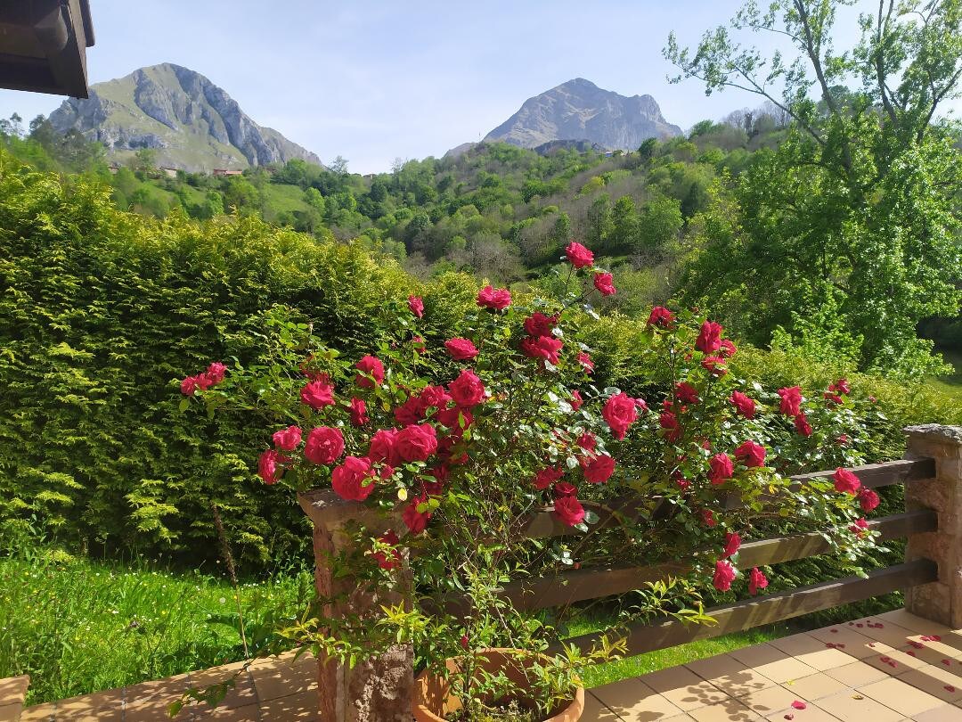 Agradable casa de madera con vistas increíbles