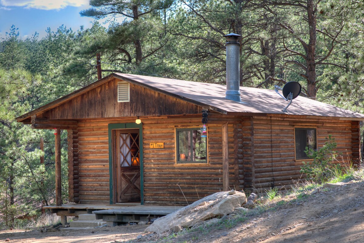 Cozy Trout cabin with infrared sauna