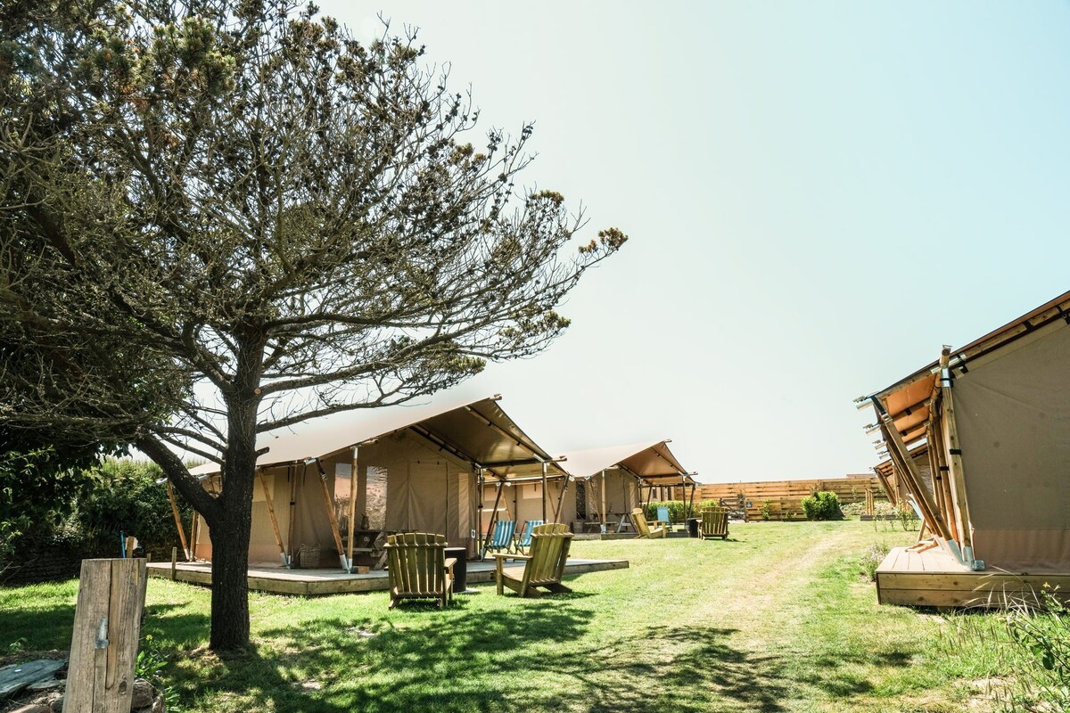 Stylish Safari Tent Lodge 'Trevone'