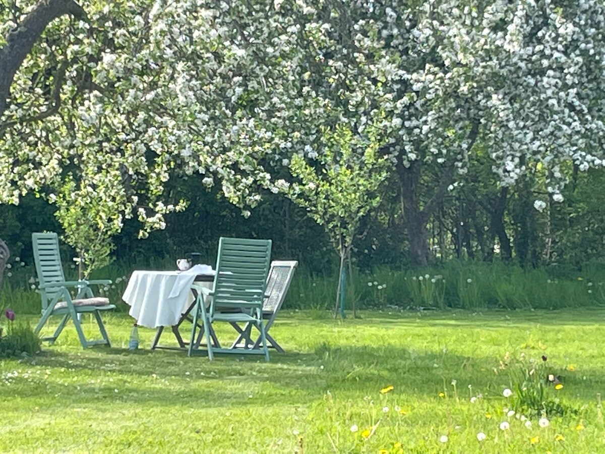 Atelierhaus Ferienunterkunft  am Saaler Bodden