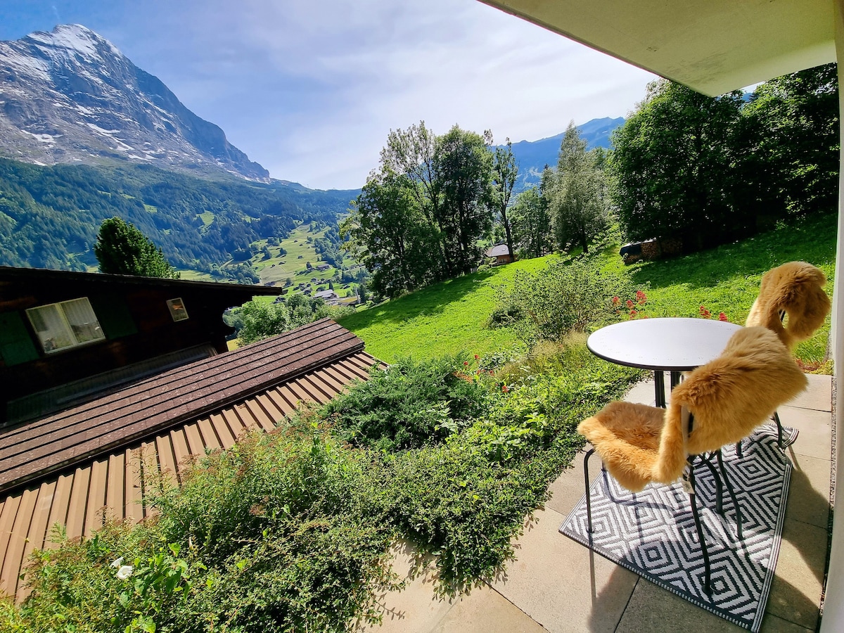 市中心的Alpstein Eiger View Terrace公寓