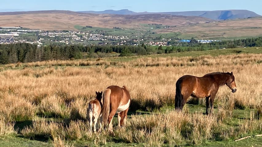 Blaenau Gwent的民宿