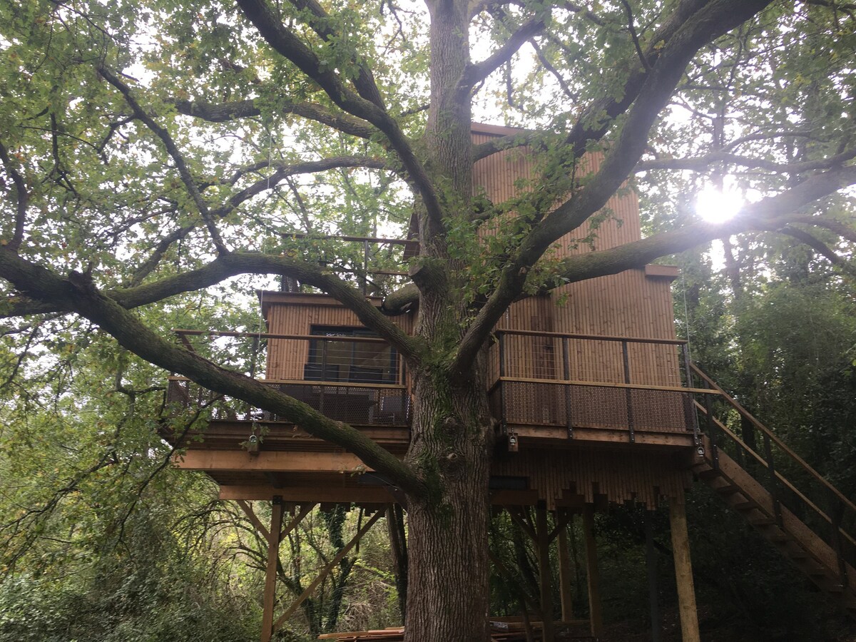 Two storey treehouse with private lake