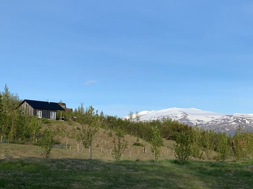 Cosy summerhouse in the heart of South-Iceland