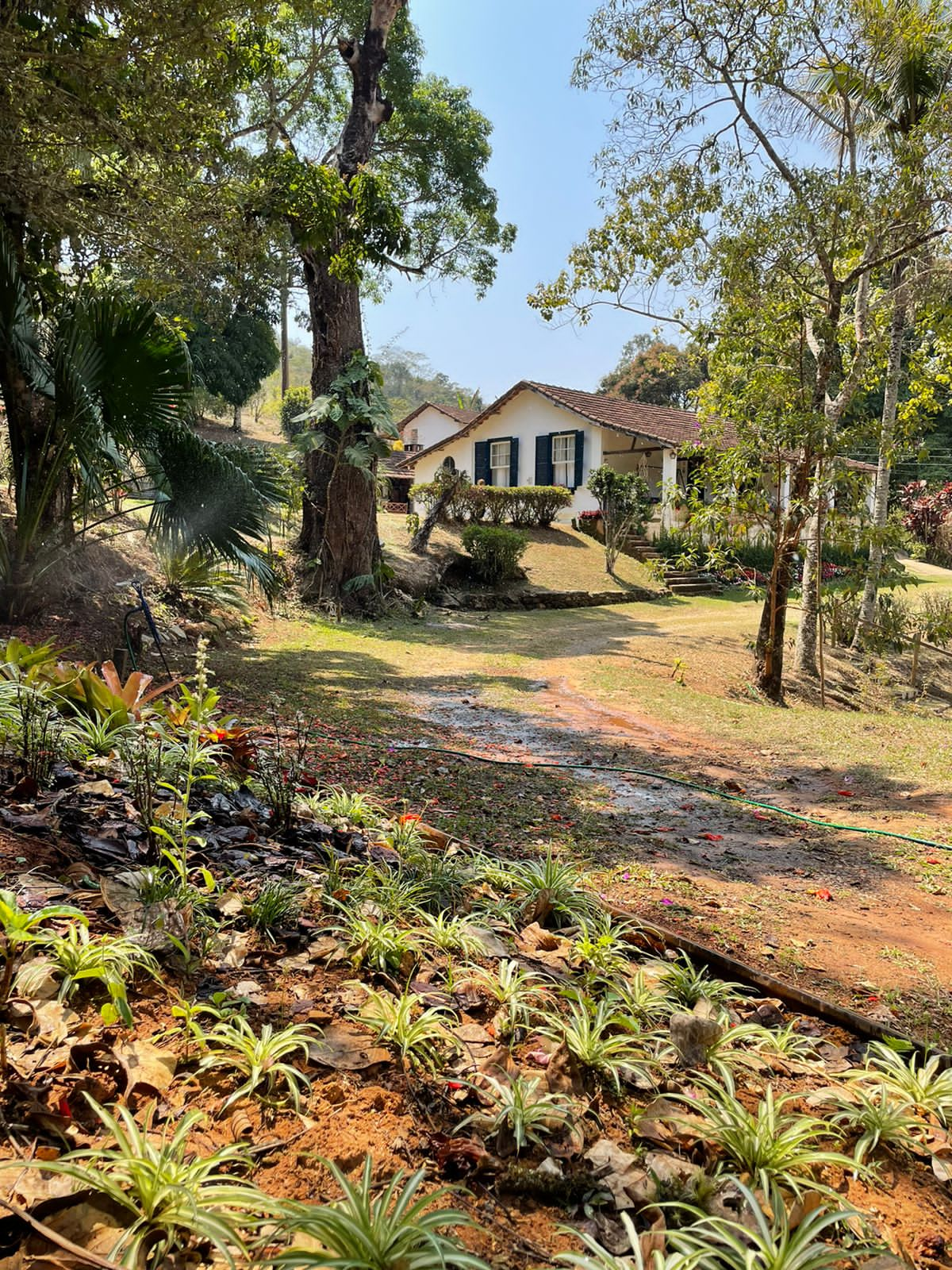 Quinta Portuguesa na zona da Mata Mineira