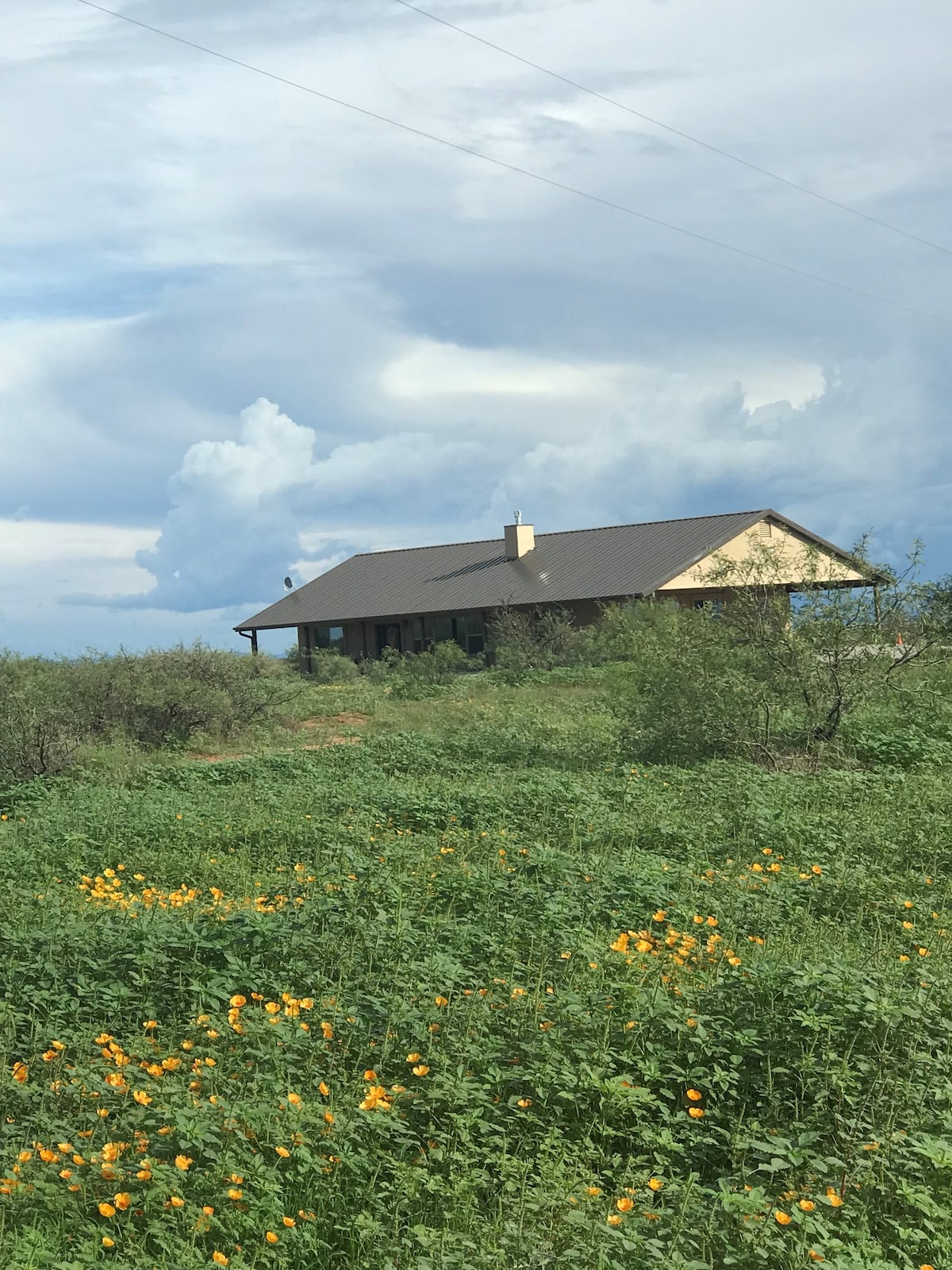 The Big Mesquite Lodge ！