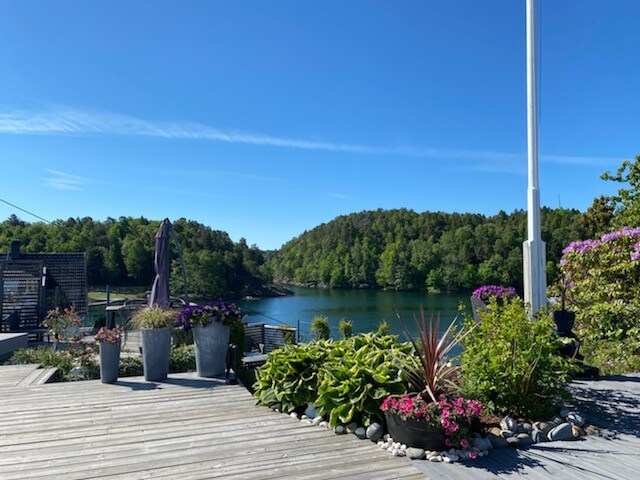 Sørlandsk idyll, hus med brygge og svømmebasseng