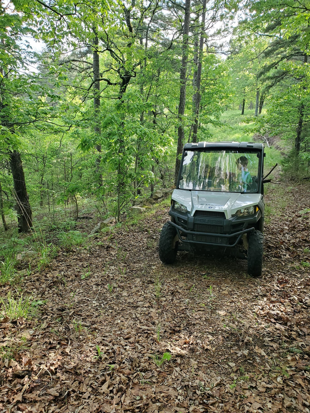 Secluded White River Cottage*214 acres*ATV trails