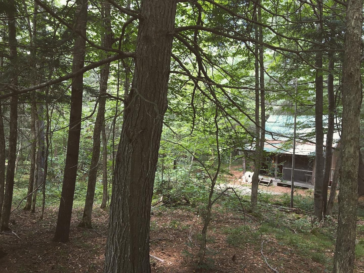 Secluded Cabin in the Ottawa Valley