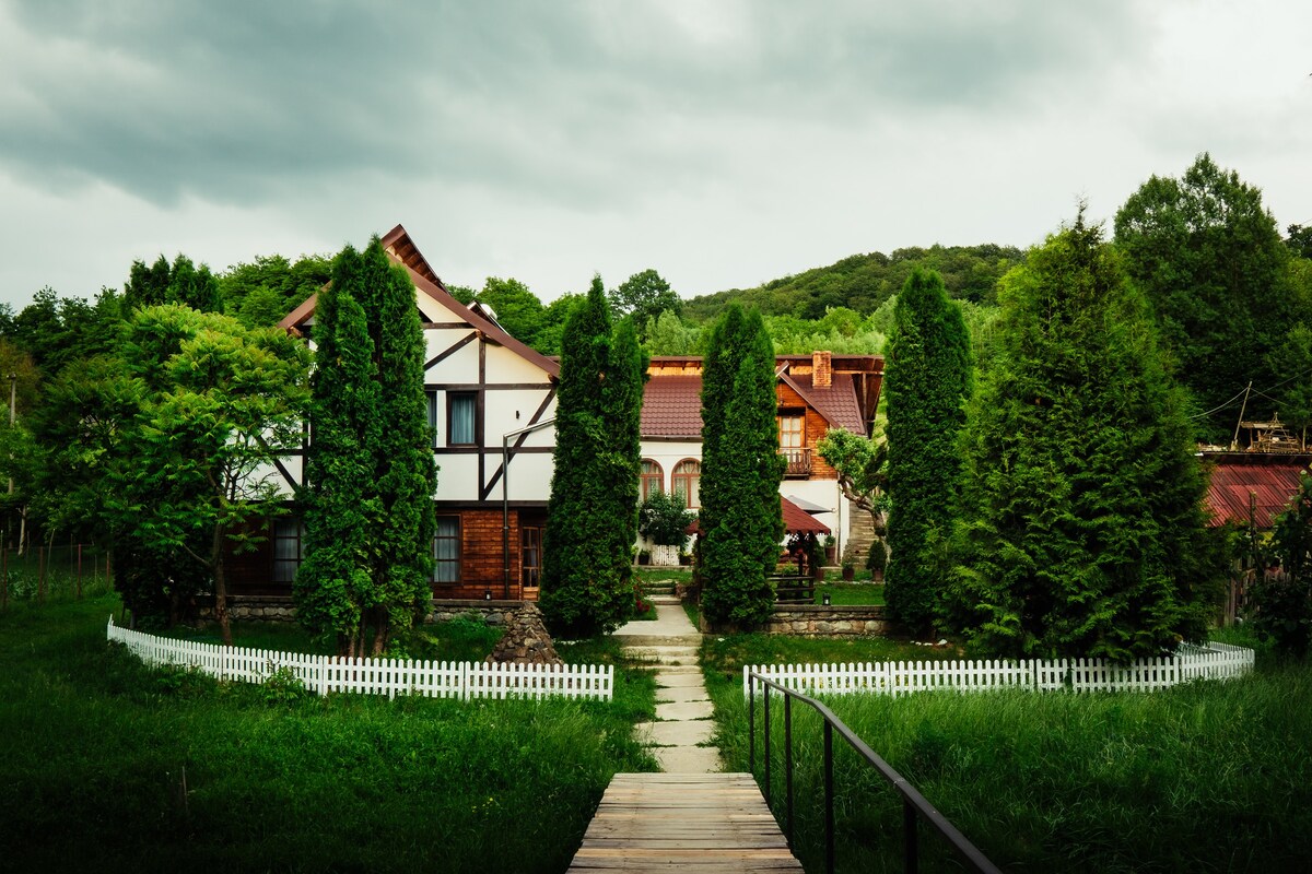 Borovian House