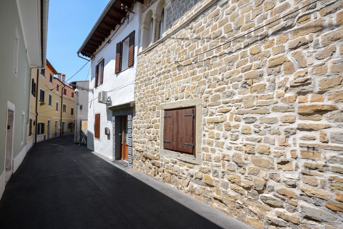 Old Court Koper - single room with shared bathroom