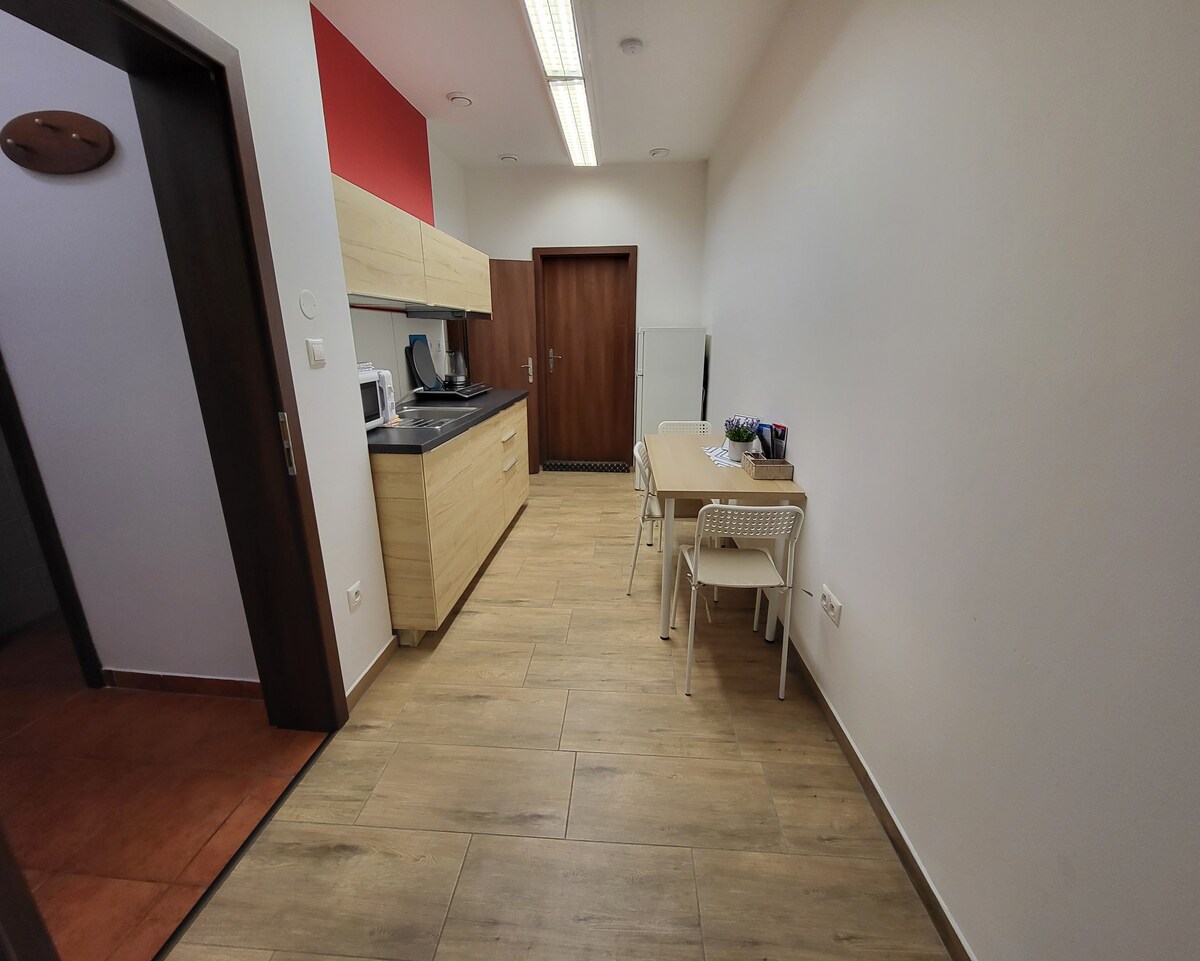 Excellent two room apartments in Karlovy Vary