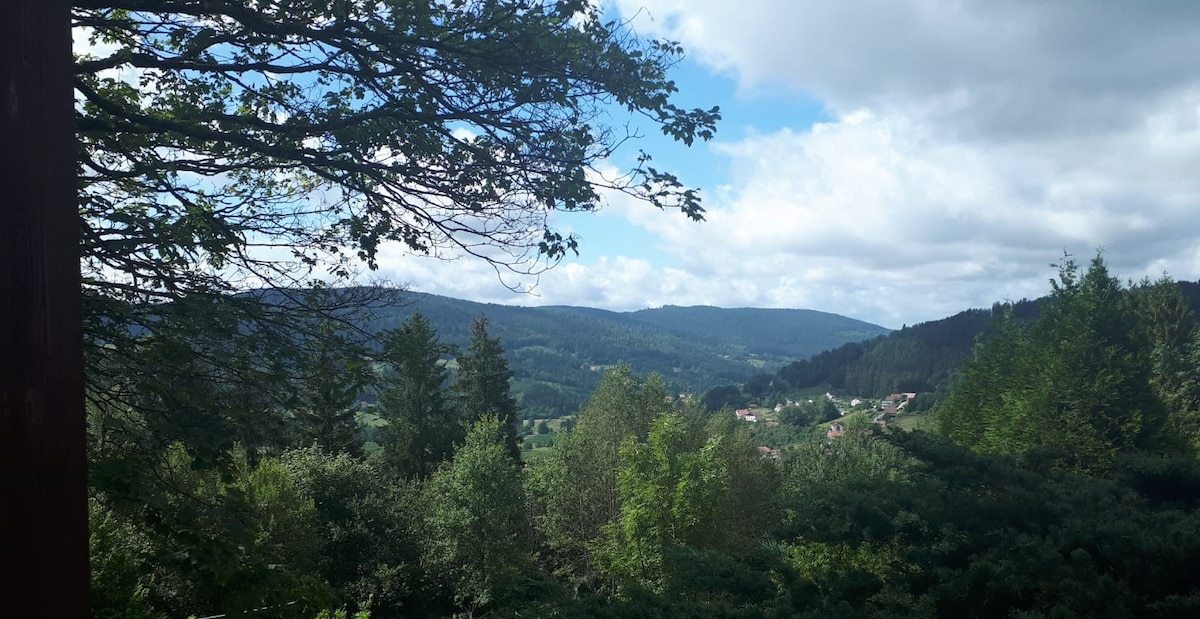 Chalet T3 - calme nature et vue - proche Gérardmer