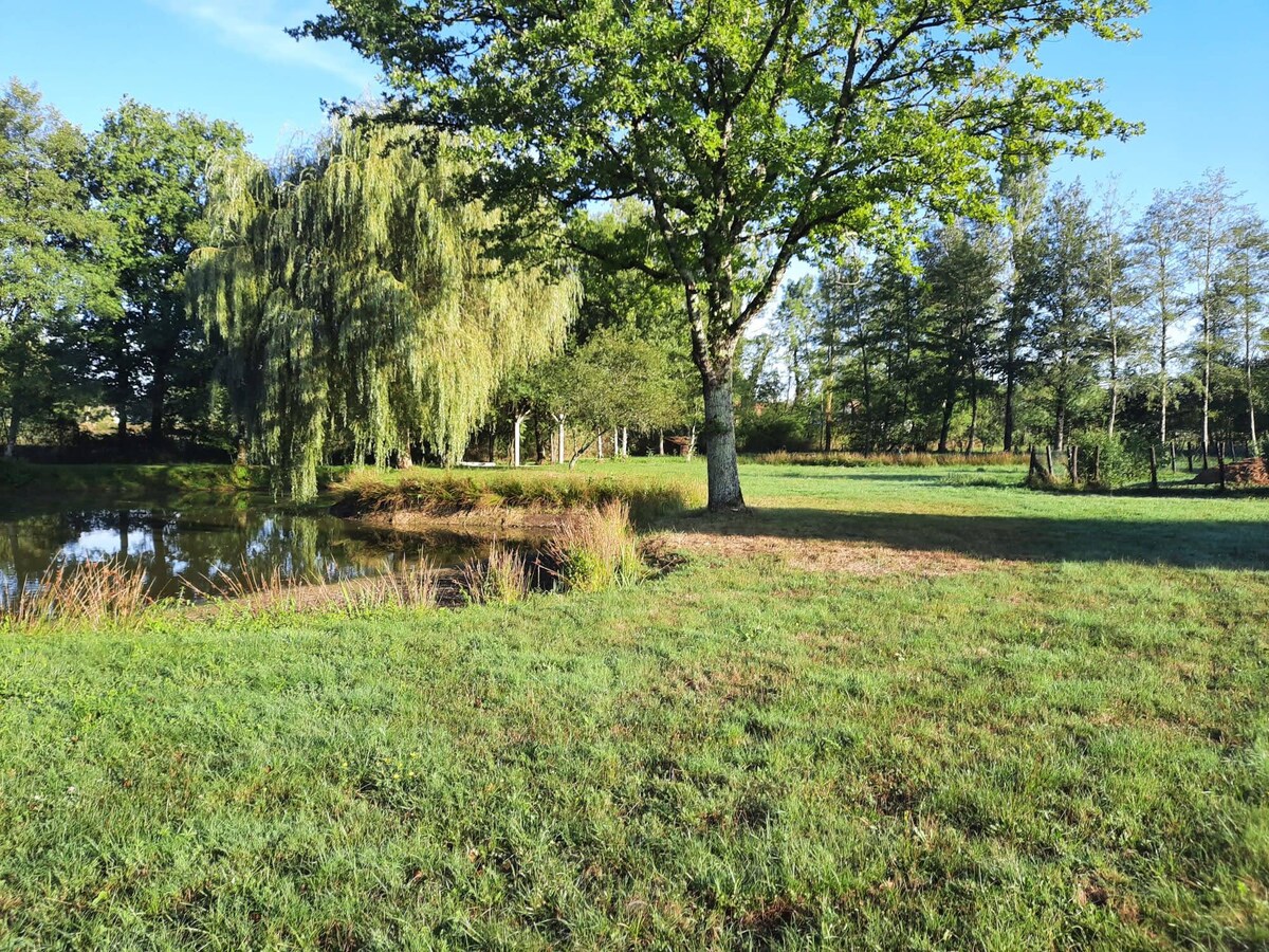 Jolie maison avec grand jardin arboré et piscine