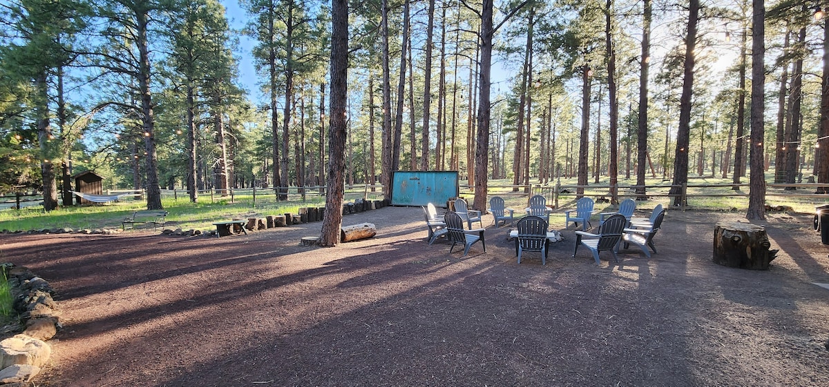 Luxury cabin 10acres-Grand Canyon Sedona Flagstaff