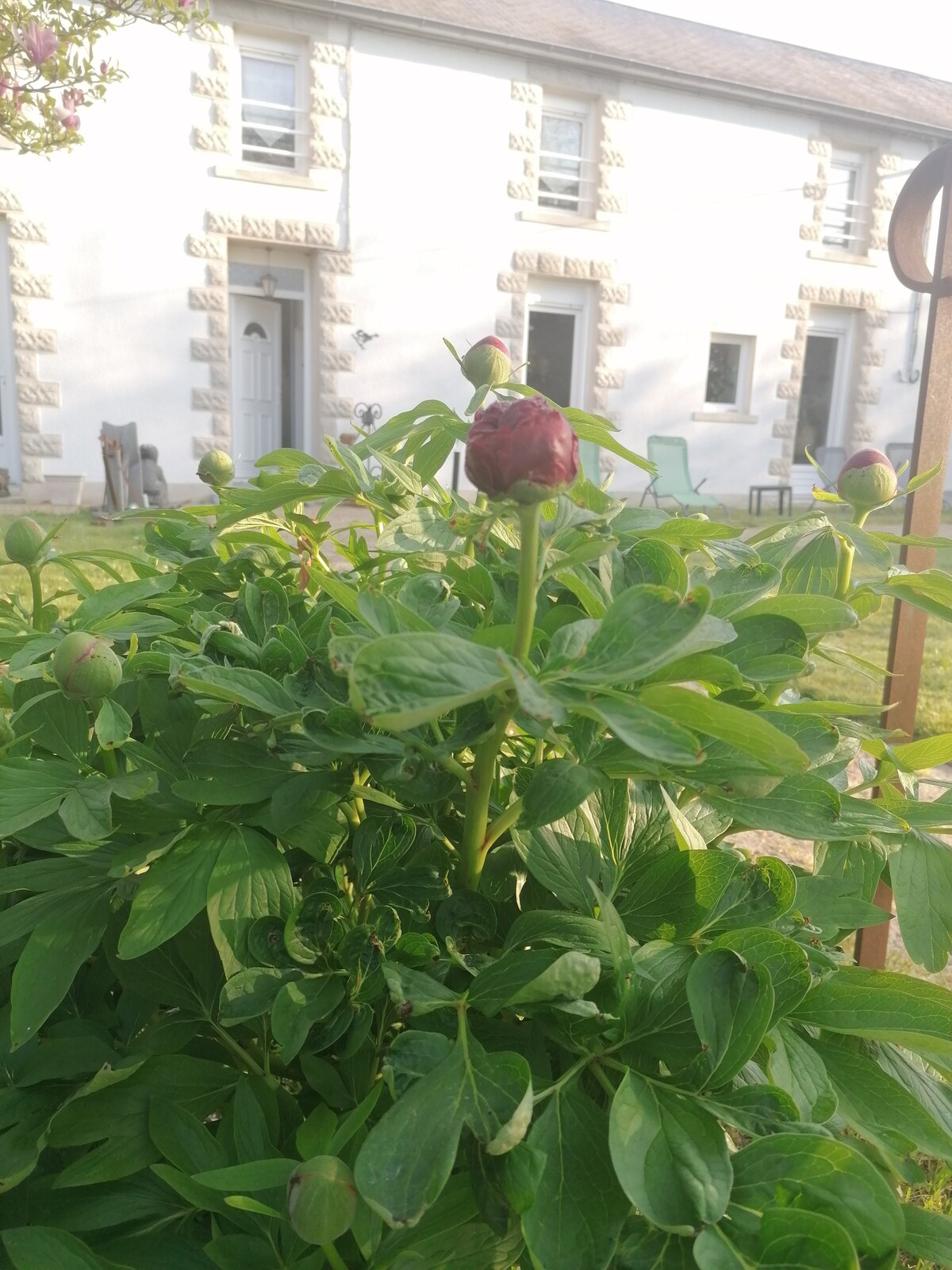 Chambre privée Fleur proche PUY-du-FOU