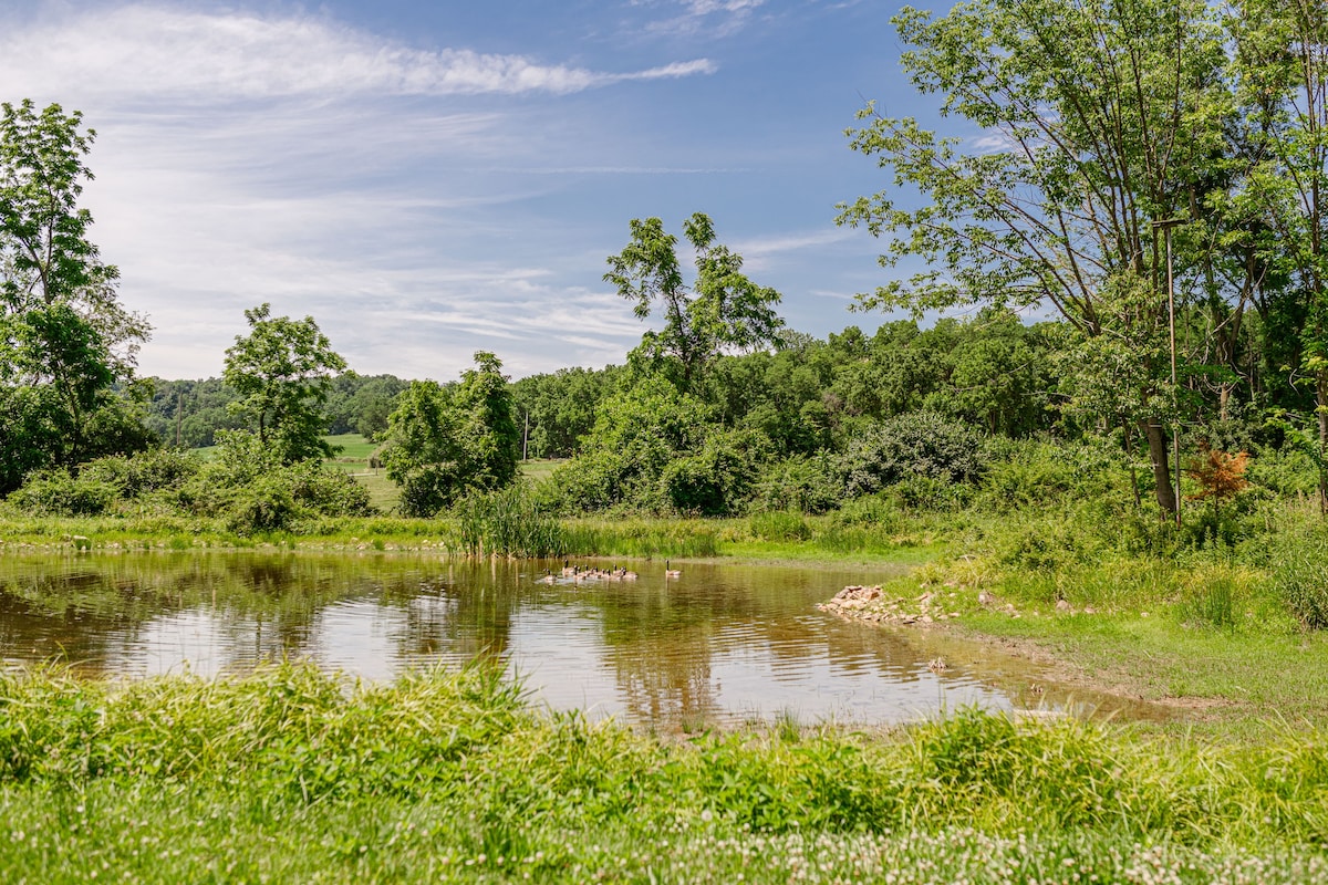 宁静的野生动物+池塘景观： Wolf-Run Acres。