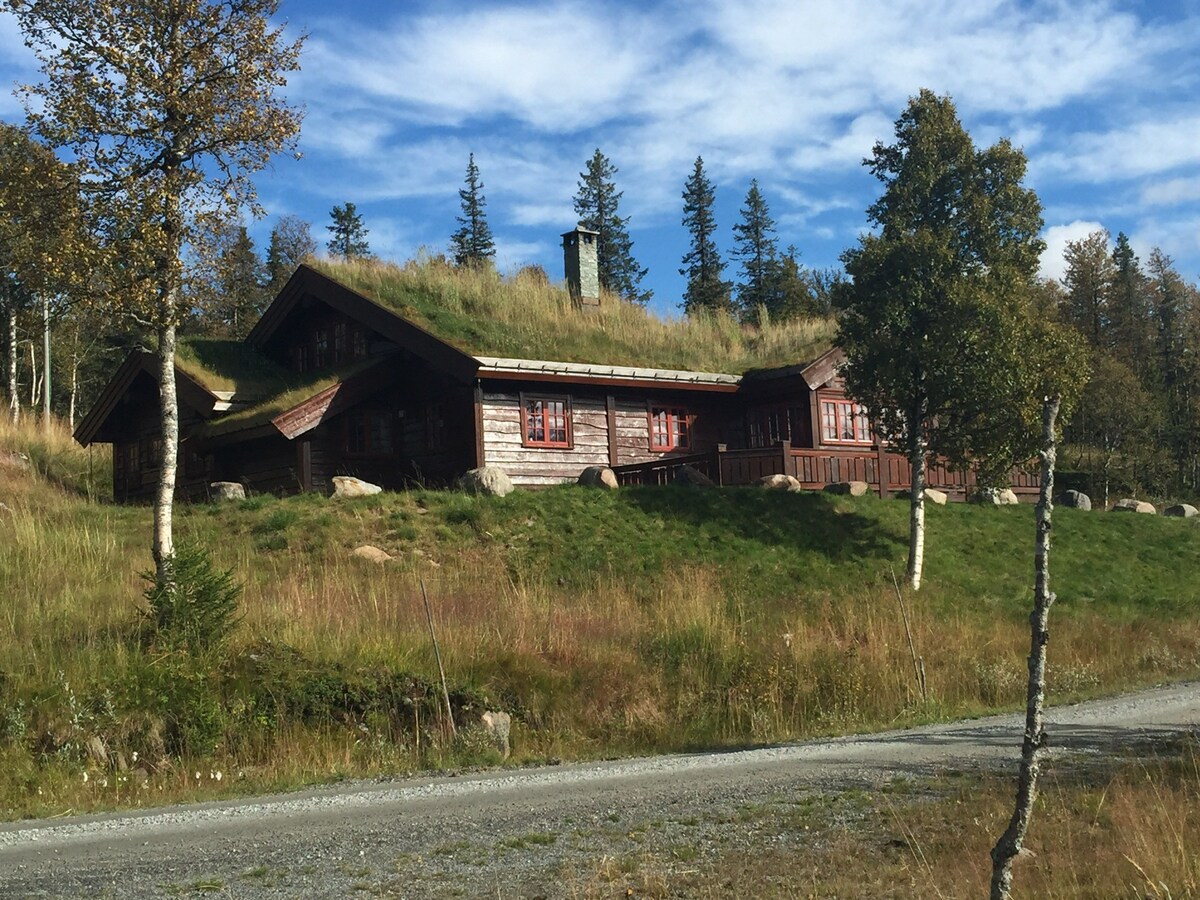 Stor og nydelig beliggende fjellhytte, 920 moh