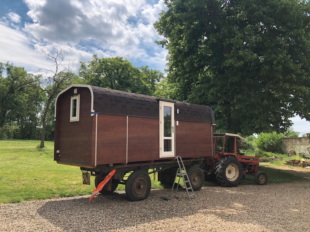 Tiny House scandinave en bois dans parc arboré