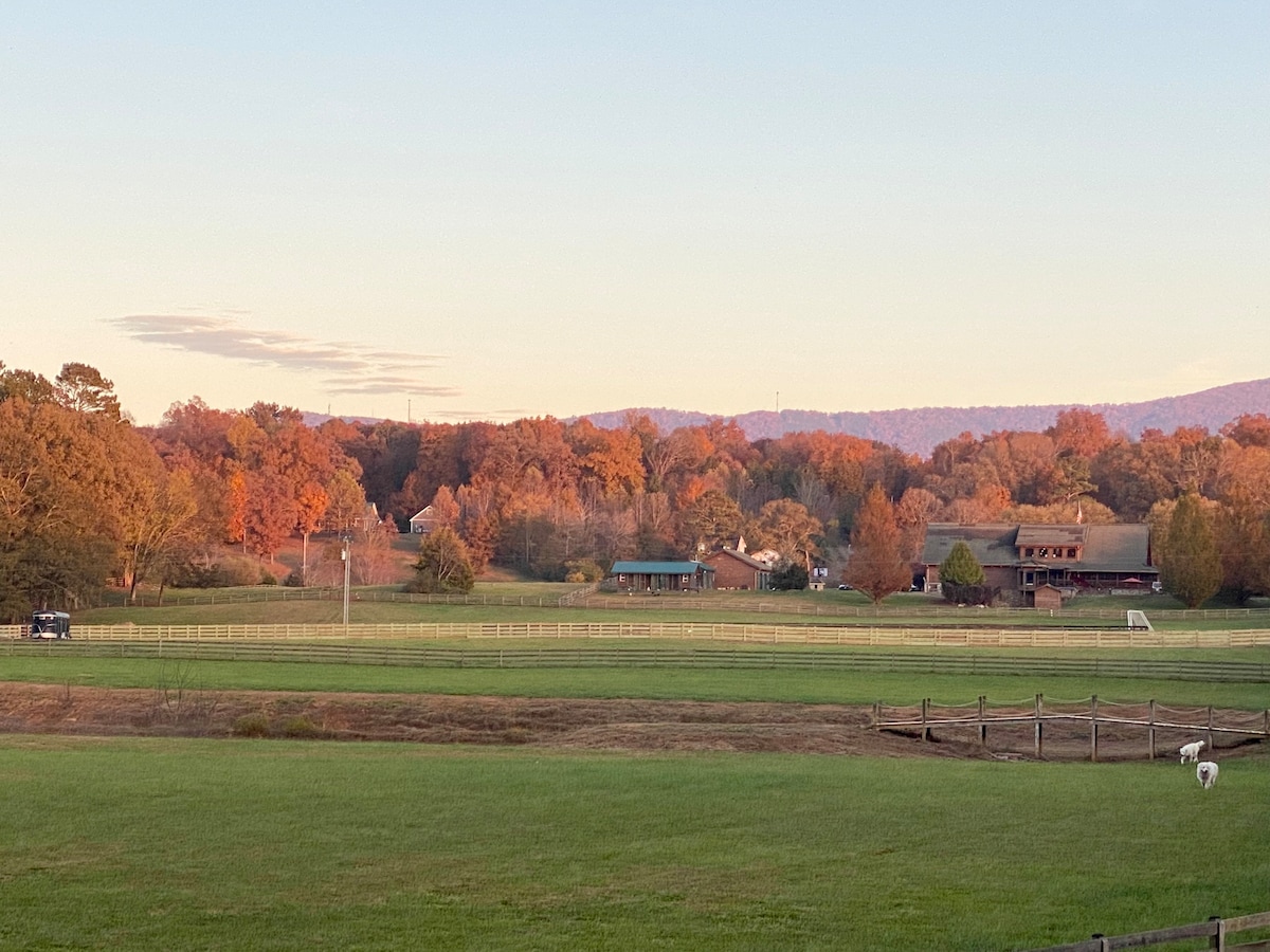 The Glampsite @ Ocoee Riverside Farm