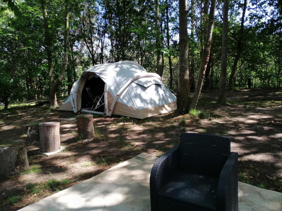 Luxo 2.2_Camping Nature Shop ， 2间卧室。