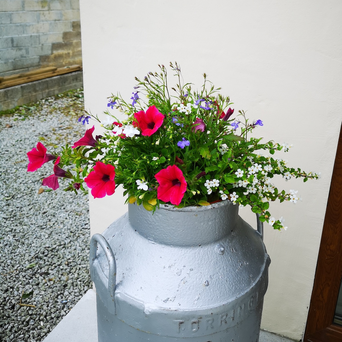 Ash @ Friesian Valley Cottages