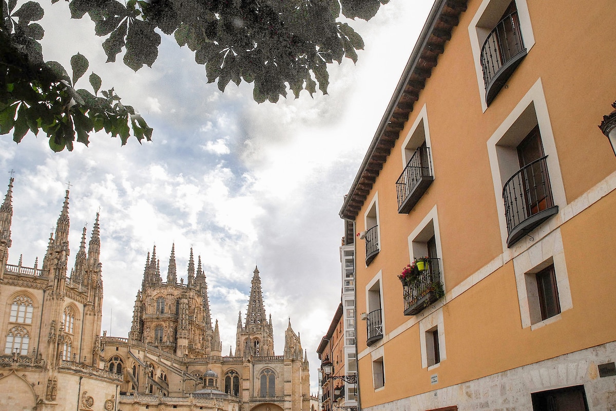 Elegant apt. p/4 in Burgos Cathedral c/ Wifi