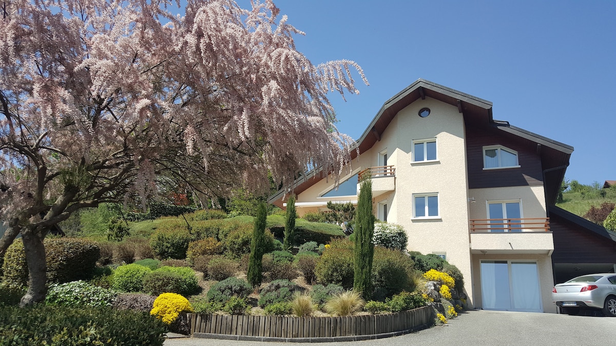 Spacieuse villa avec piscine à 5 minutes d'Annecy