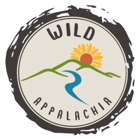 Wild Appalachia's  "Willow House"