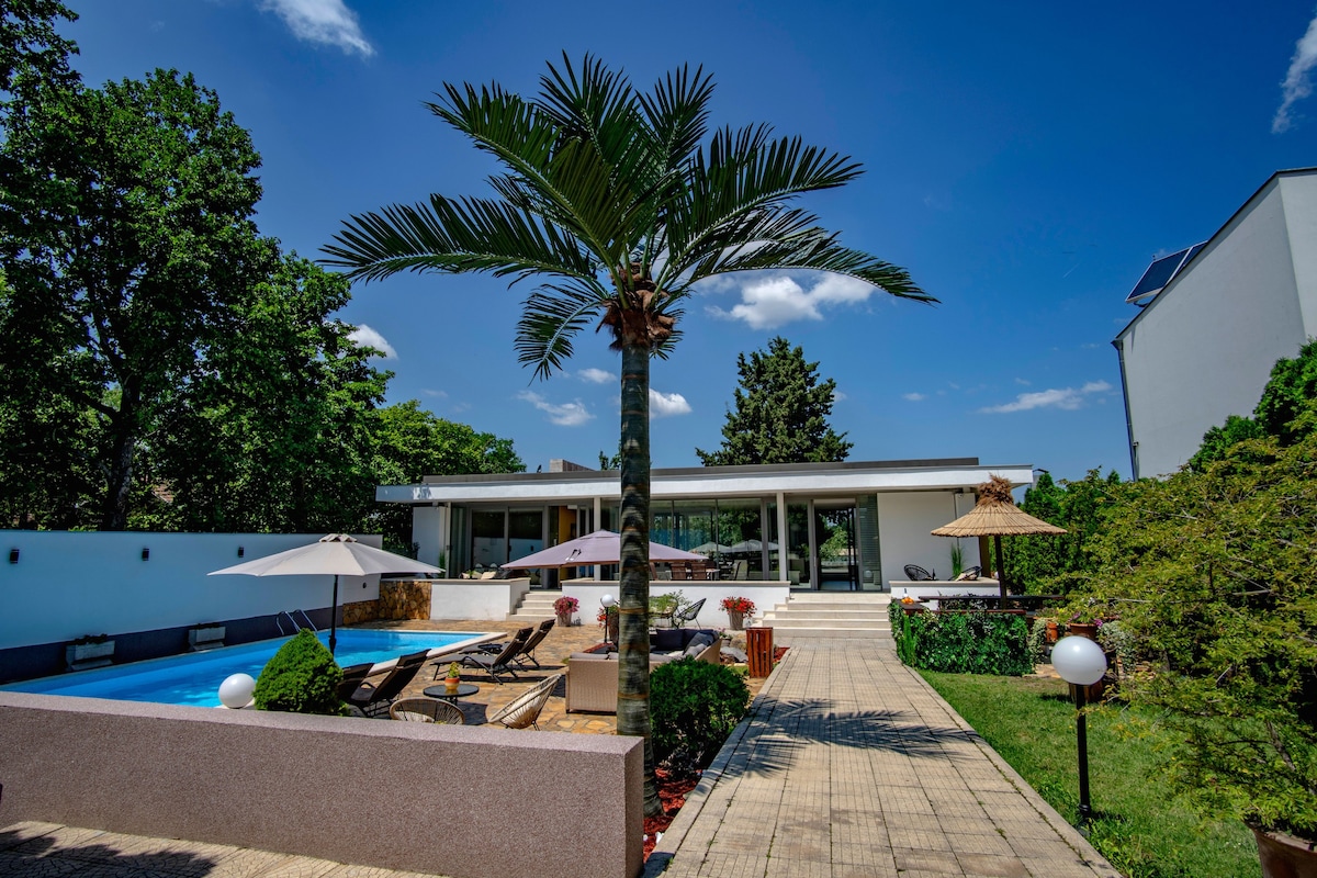 Lux villa “Danube palm” with outdoor pool