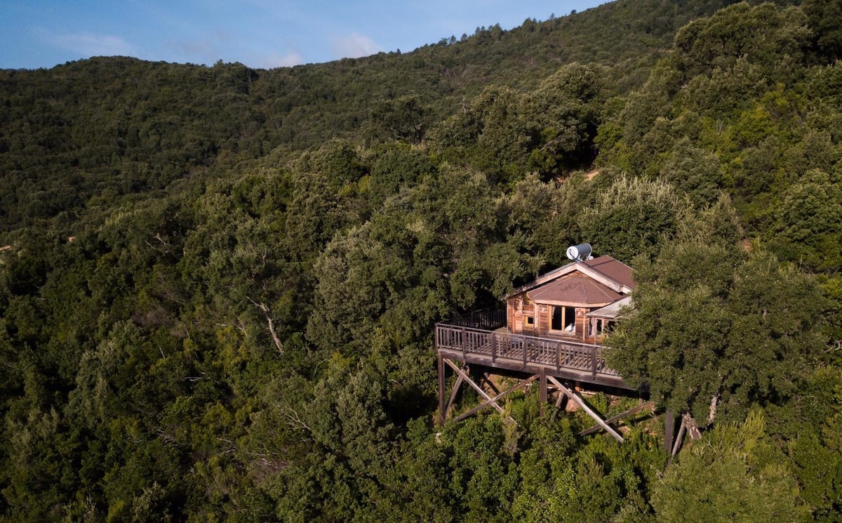 坐落在大海和山脉之间的迷人小木屋