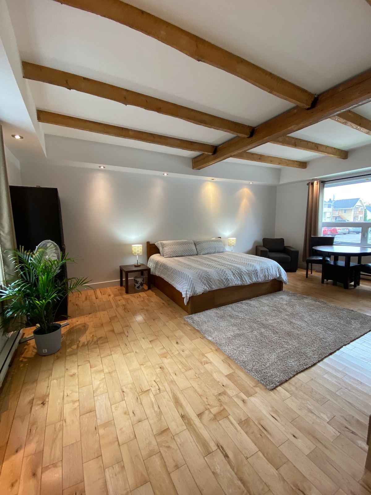 市中心的Le Cozy 22 Grand Loft