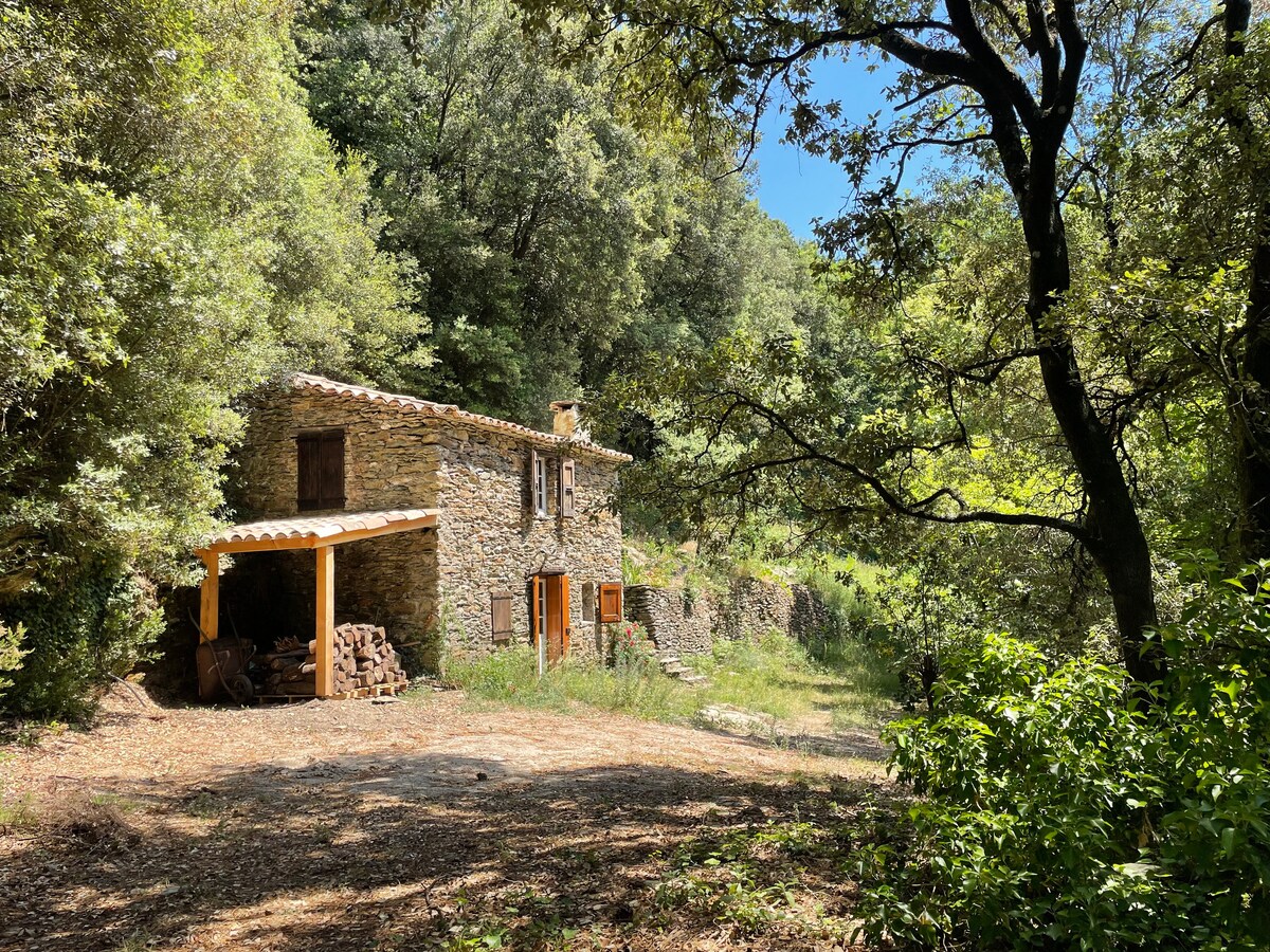 Saint-Etienne-Vallée-Française dans les Cévennes