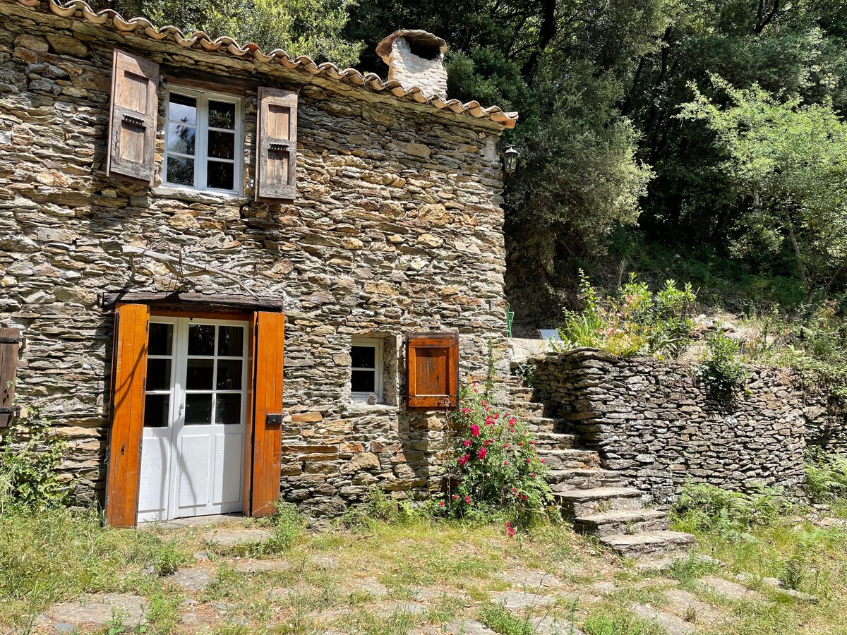 Saint-Etienne-Vallée-Française dans les Cévennes