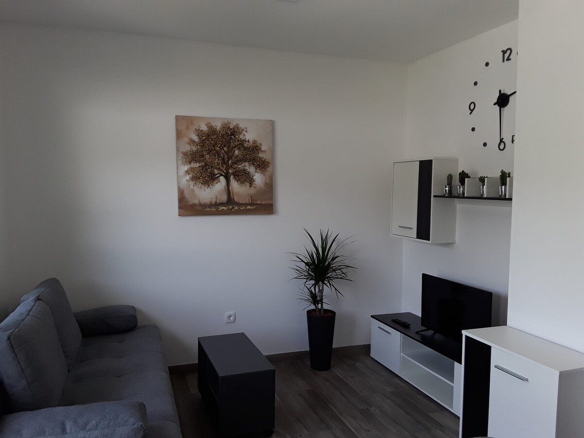 Apartma Tisa