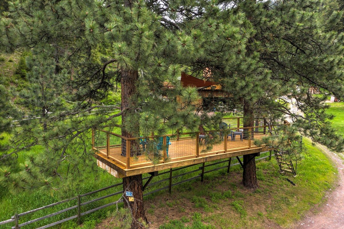 Mountain Retreat-treehouse, swim, hike, hot tub