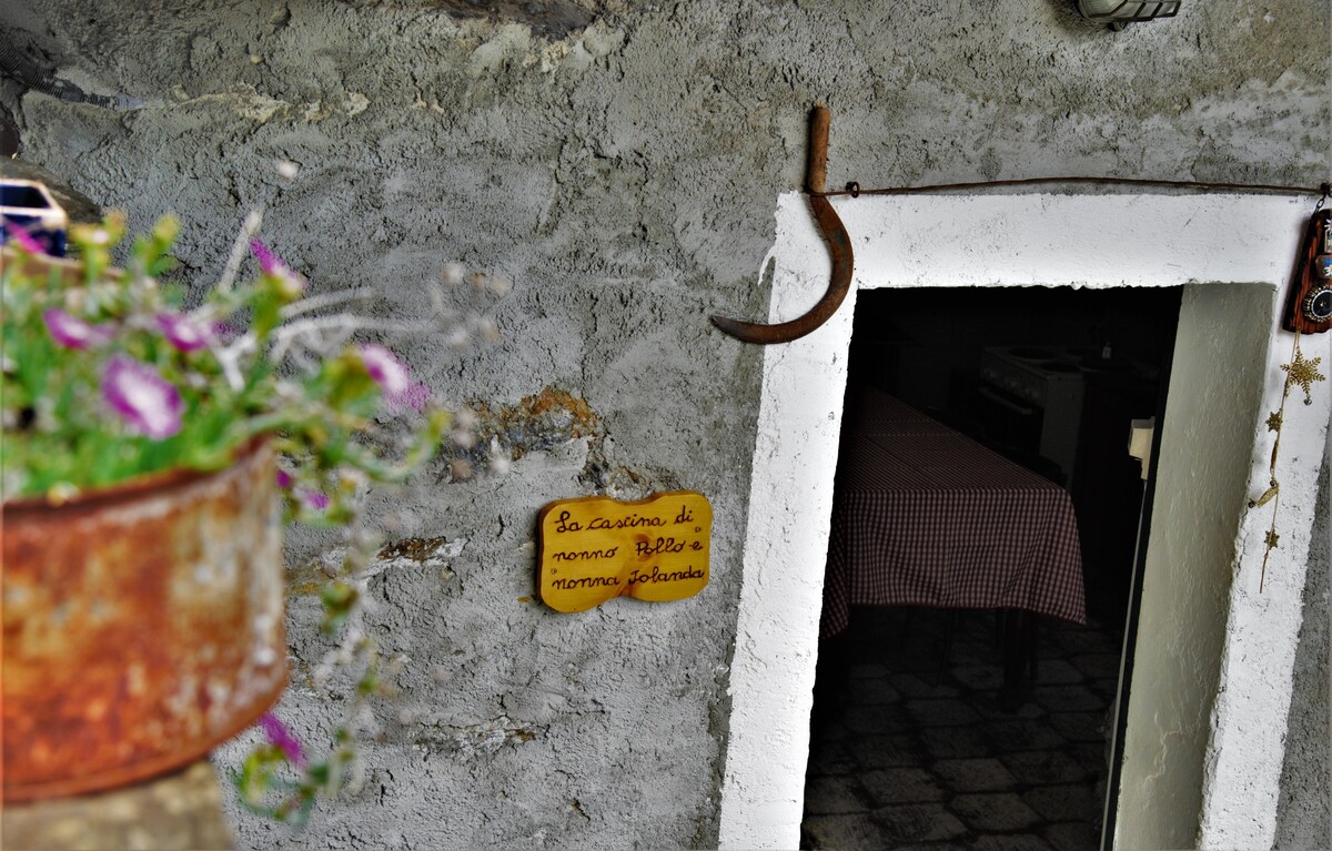 Pollo & Jolanda祖父母小屋， Valtellina