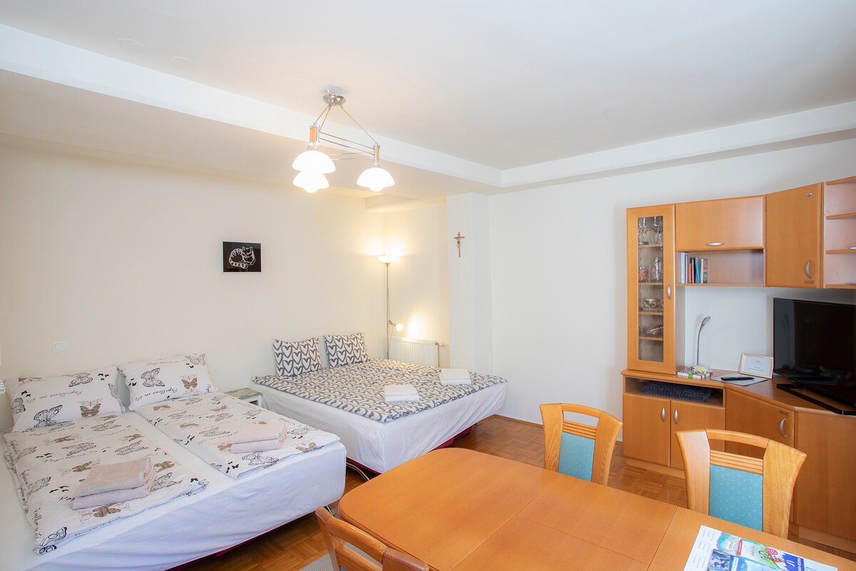 位于Kranjska Gora市中心的舒适单间公寓