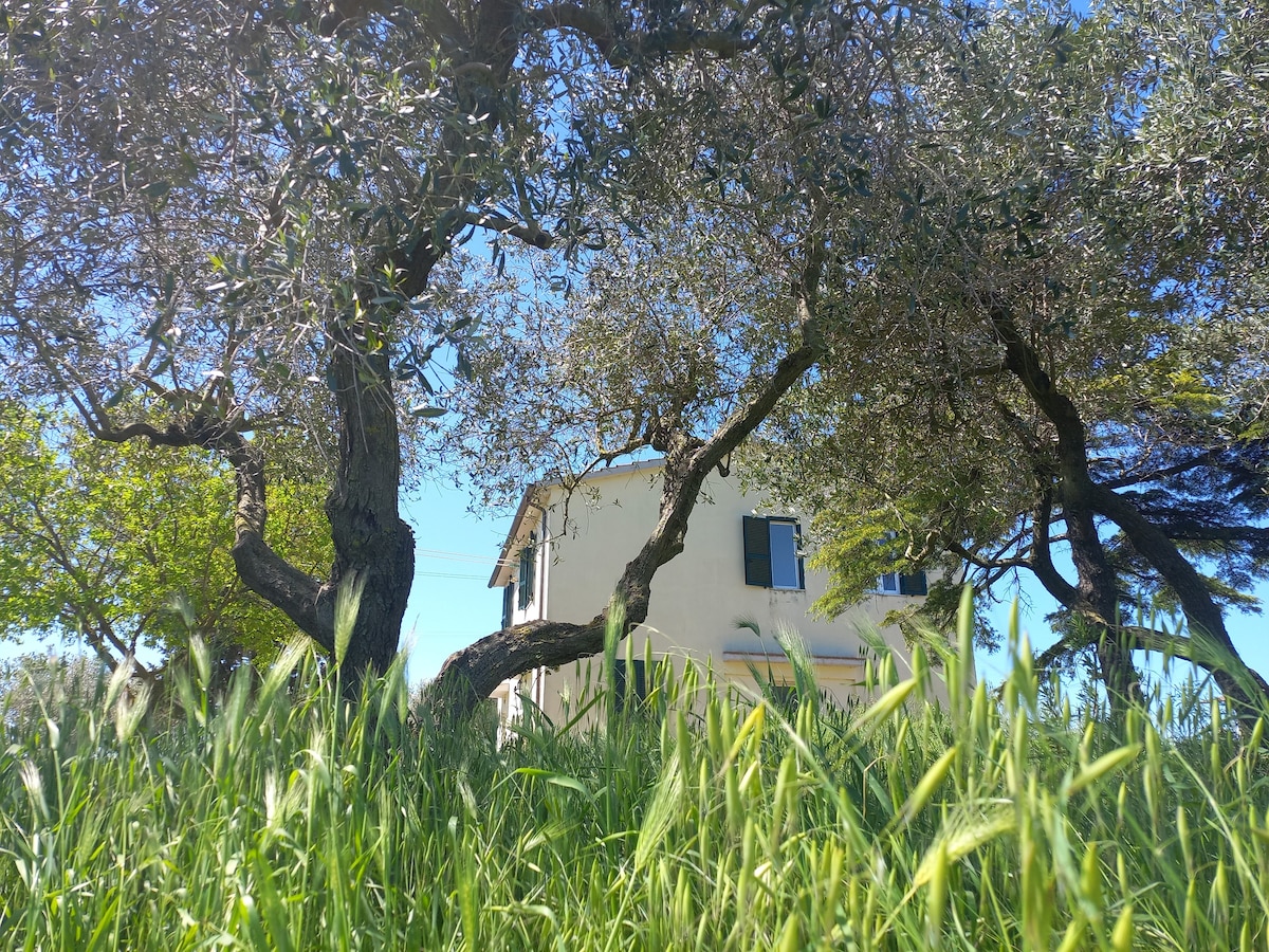 Casale Maremmano ：休闲、乡村和自然