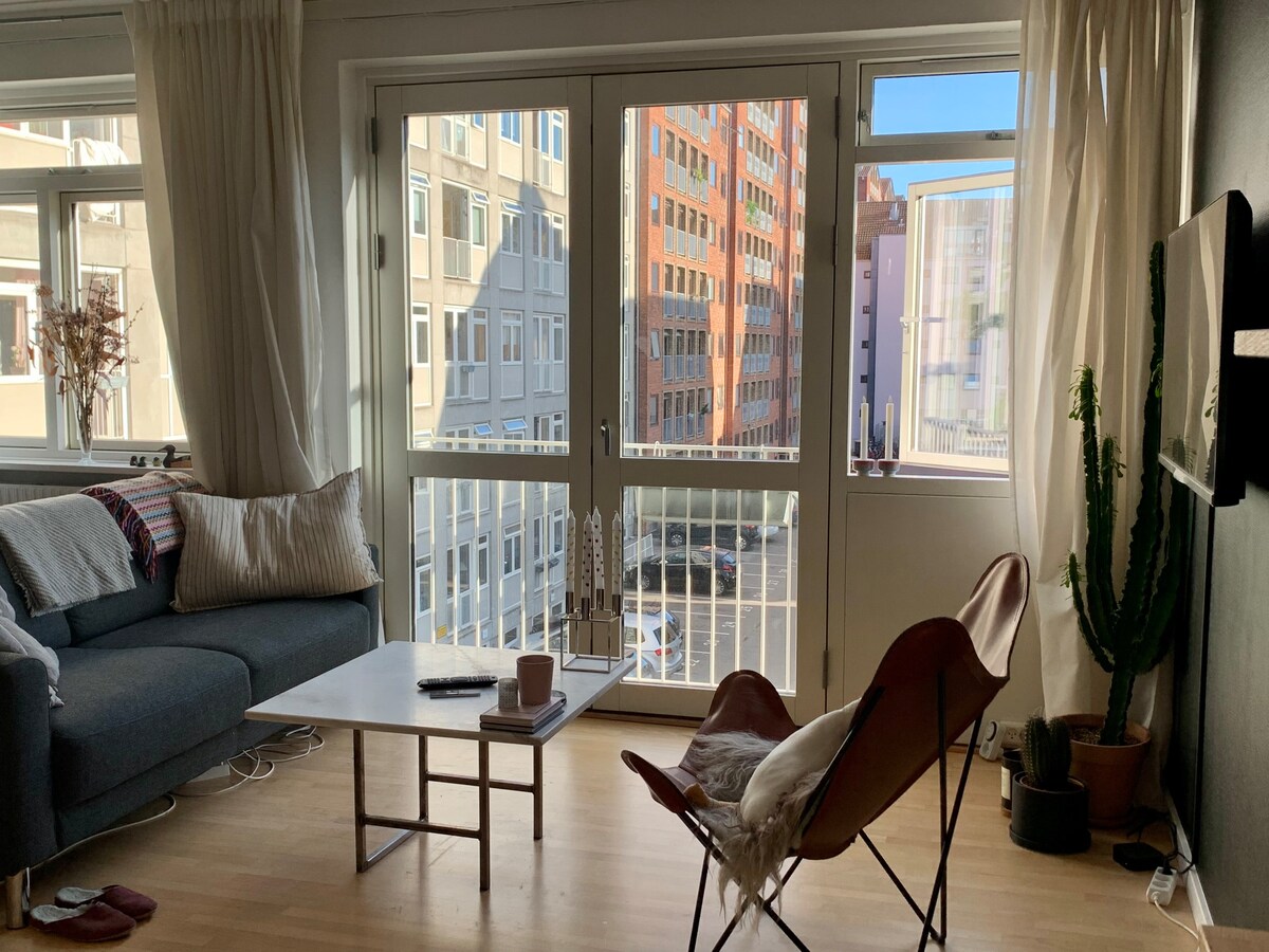 哥本哈根市中心的舒适公寓